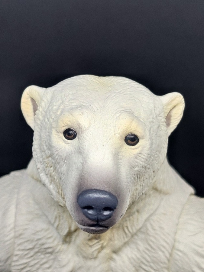 シロクマ(海洋堂・ソフビトイボックス) （ホッキョクグマ） Polar Bear