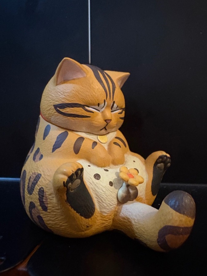 猫ちゃん(男の子)