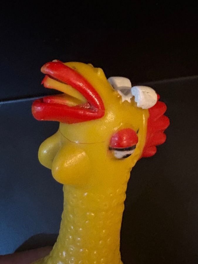 screaming chicken