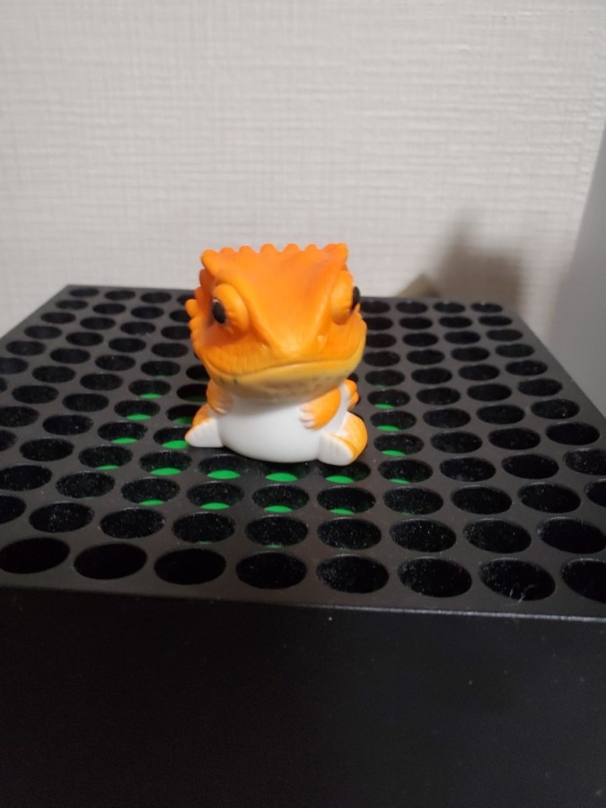 フトアゴンベビー