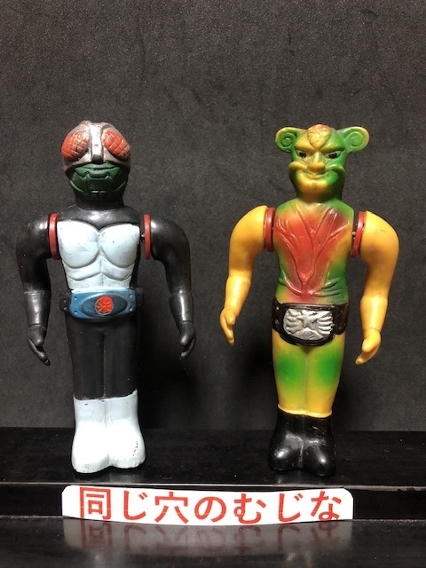 仮面ライダー&サラセニアン