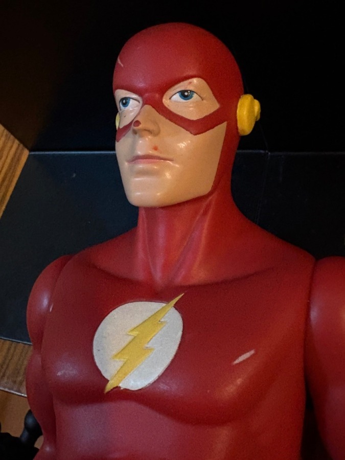 THE FLASH/フラッシュ
