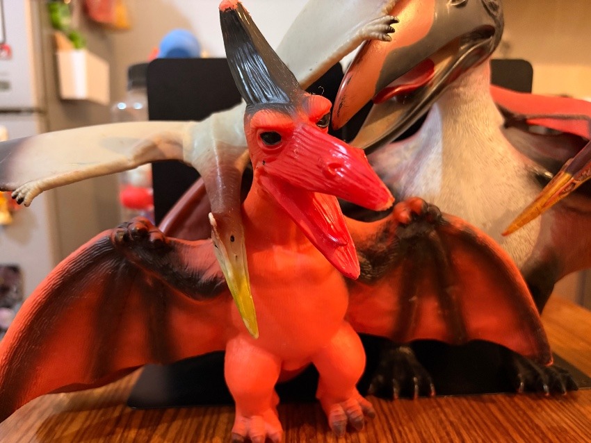 プテラノドン各種