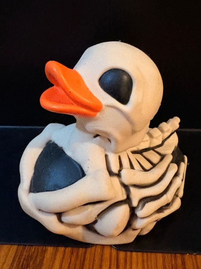 スカル　アヒルちゃん