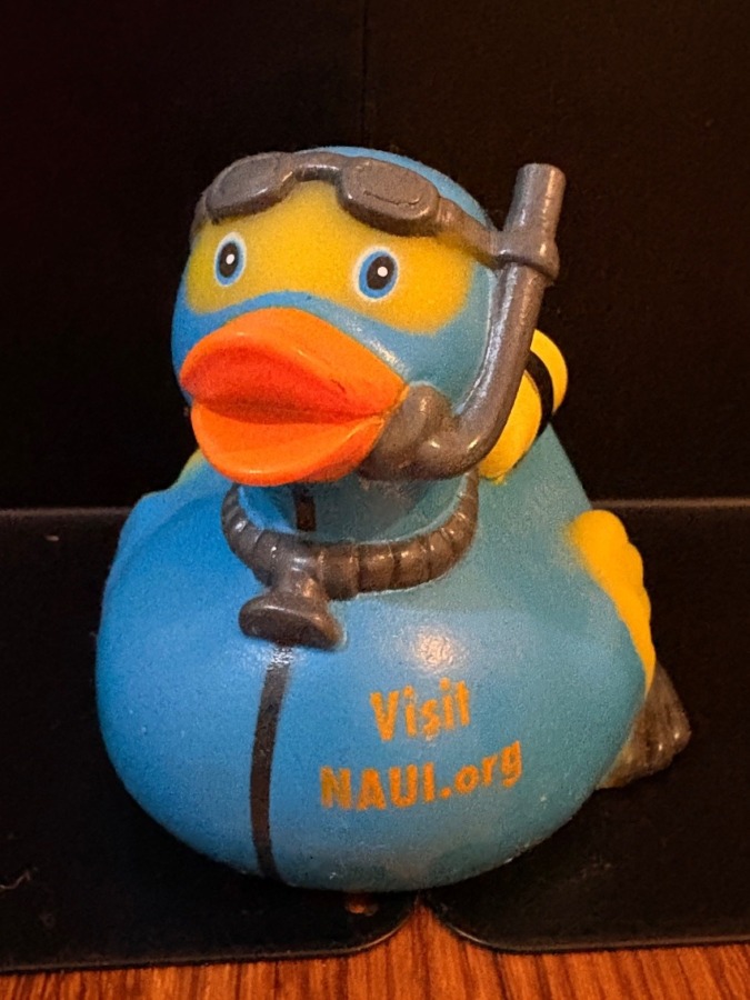 スキューバ　アヒルちゃん