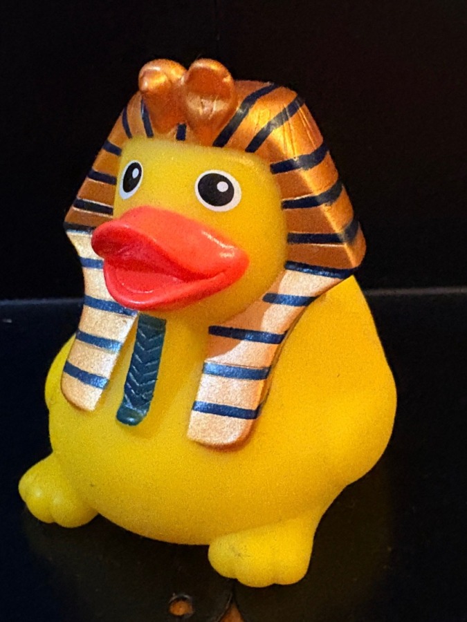 スフィンクスアヒルちゃん