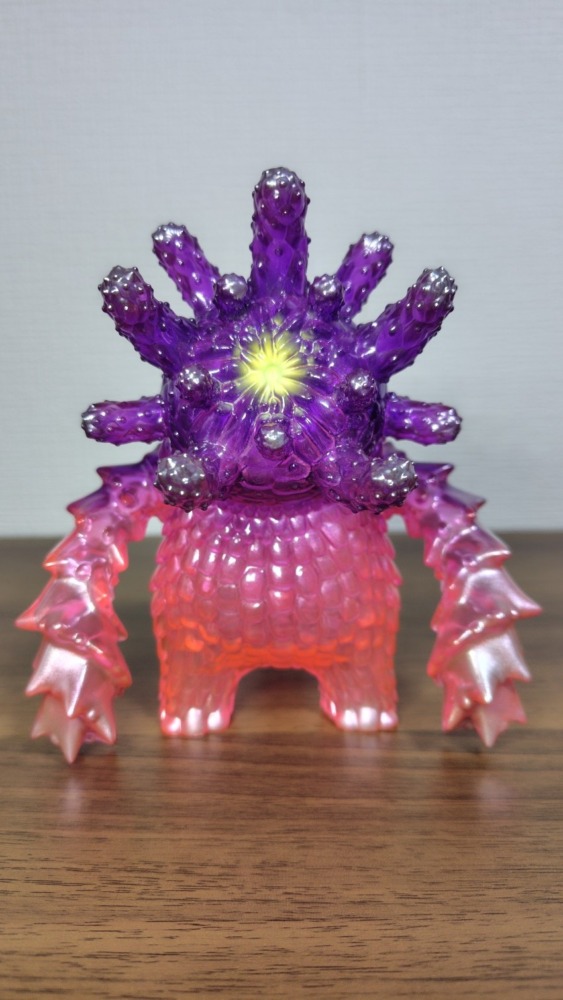 ユーフォルビア人　Poison purple ✕ Pink clear