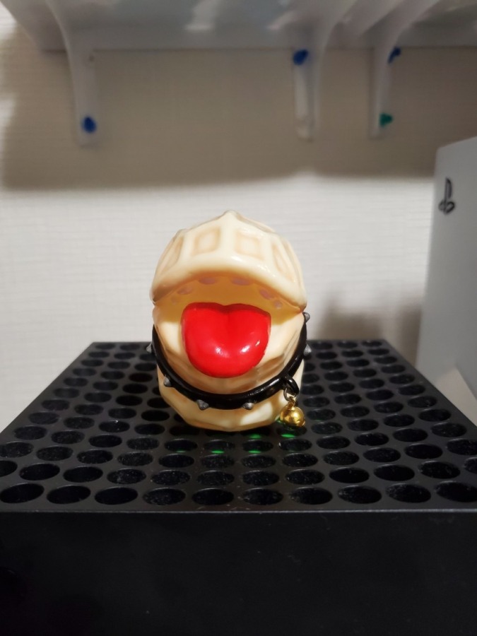 エンビー ピヌ スタンダードカラー