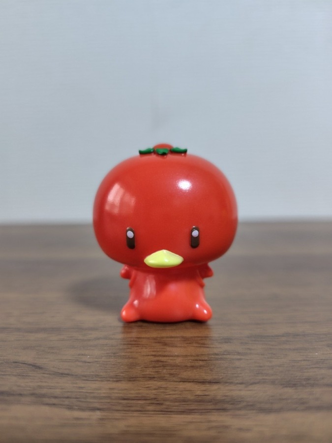 CASみかんかっぱ ブラッドオレンジカラー