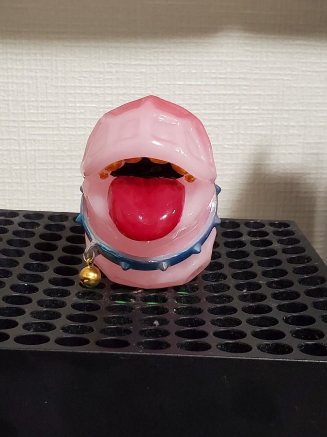 エンビー PINU　鳴門鯛
